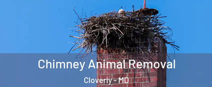 Chimney Animal Removal Cloverly - MD
