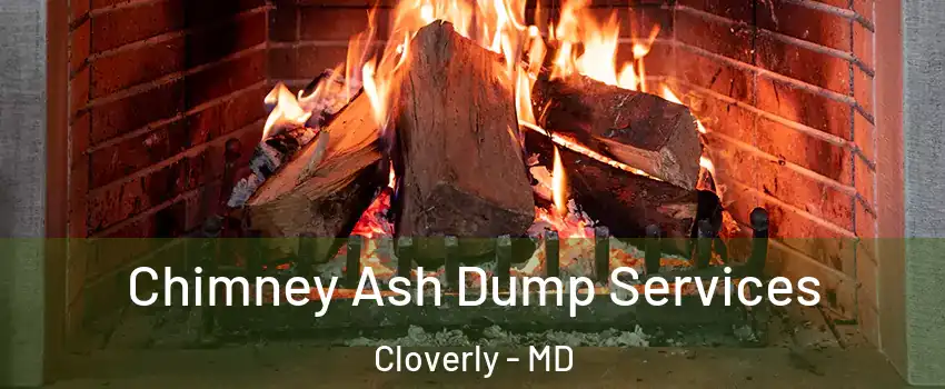  Chimney Ash Dump Services Cloverly - MD