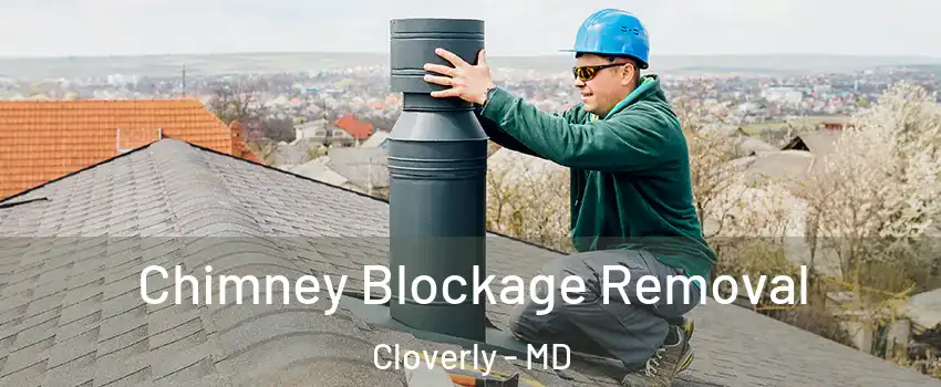  Chimney Blockage Removal Cloverly - MD