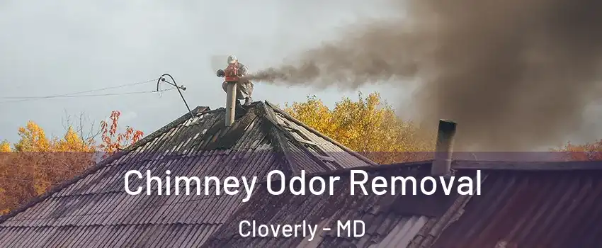  Chimney Odor Removal Cloverly - MD