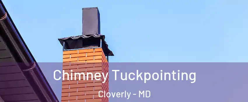  Chimney Tuckpointing Cloverly - MD