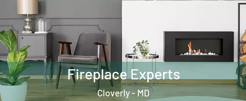  Fireplace Experts Cloverly - MD