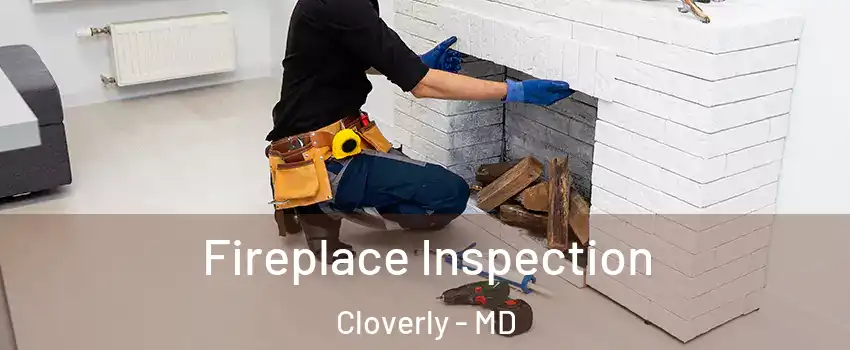  Fireplace Inspection Cloverly - MD