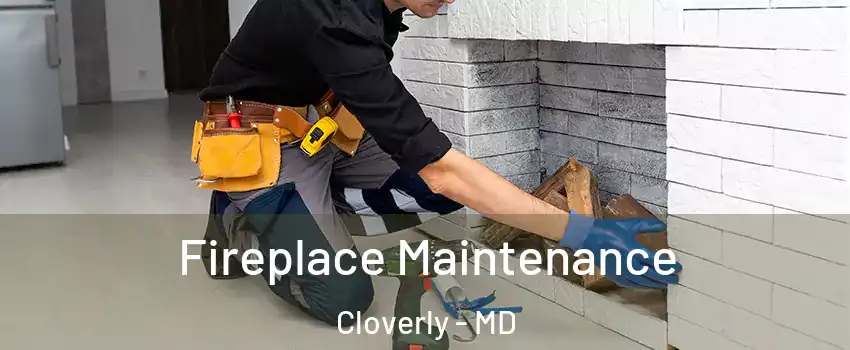  Fireplace Maintenance Cloverly - MD