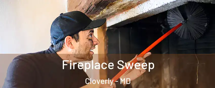  Fireplace Sweep Cloverly - MD