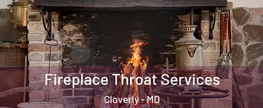  Fireplace Throat Services Cloverly - MD