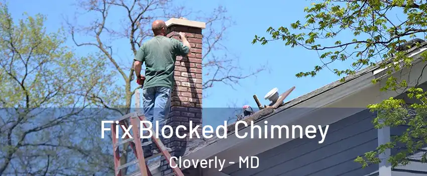  Fix Blocked Chimney Cloverly - MD