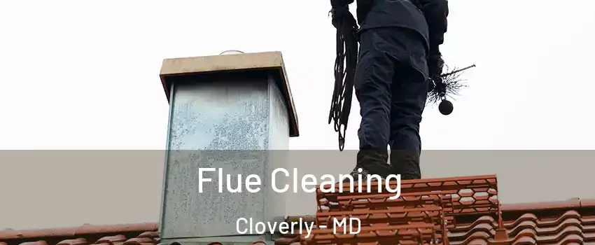  Flue Cleaning Cloverly - MD