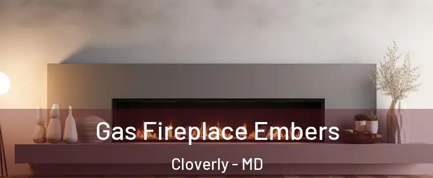  Gas Fireplace Embers Cloverly - MD