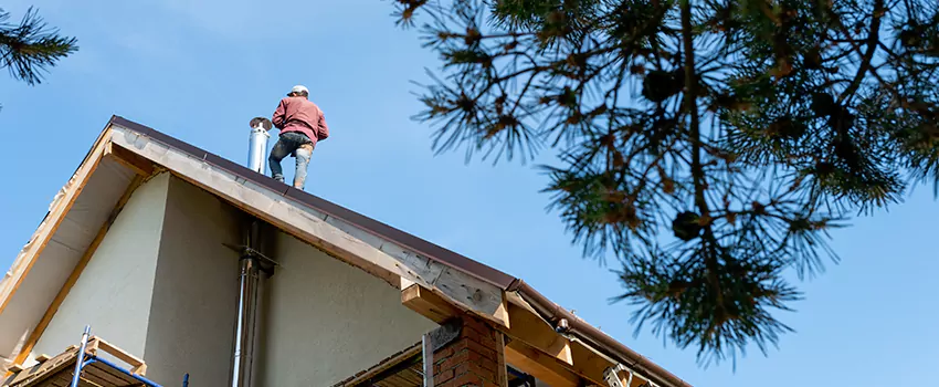 Birds Removal Contractors from Chimney in Cloverly, MD