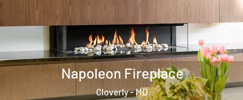  Napoleon Fireplace Cloverly - MD