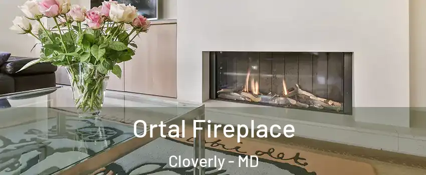  Ortal Fireplace Cloverly - MD